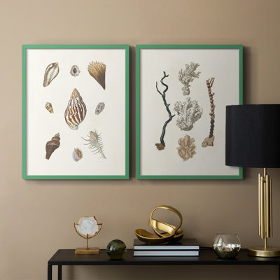 Knorr Shells & Coral IX - reproduction encadrée de qualité supérieure - prête à être accrochée - aucun clou requis - aucun clou requis