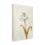 «Wimmering Summer II Ivory» par James Wiens-1095525351