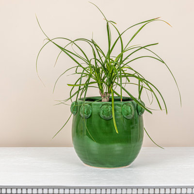 Jardinière en terre cuite à pois surélevés