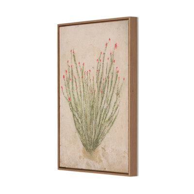 Ocotillo Painting by Paul Meyer