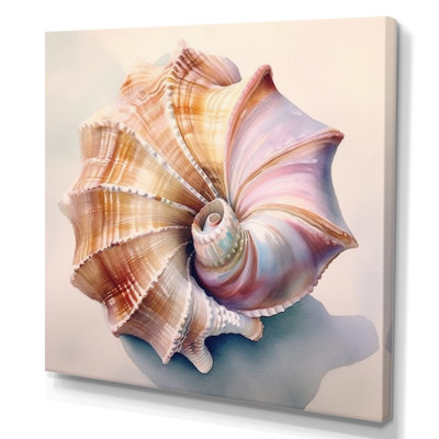 Coastal Seashell II - Animals Canvas Prints