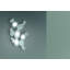 Mickey Flush Mount-827958755