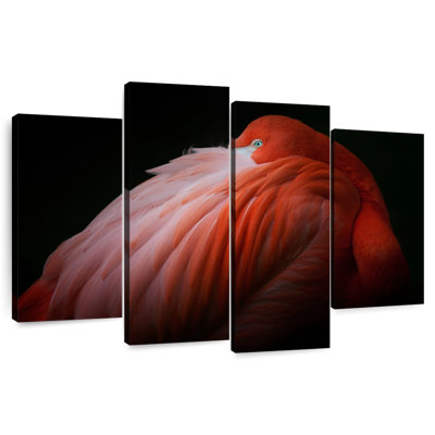 Brampt timide flamant rose