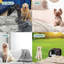 Coussins Katziela-96064473-96064474
