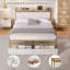 Metal Storage Bed
