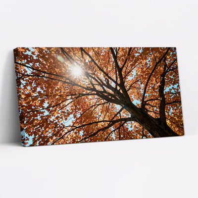 Toile sur toile orange ensoleillée contre un ciel bleu