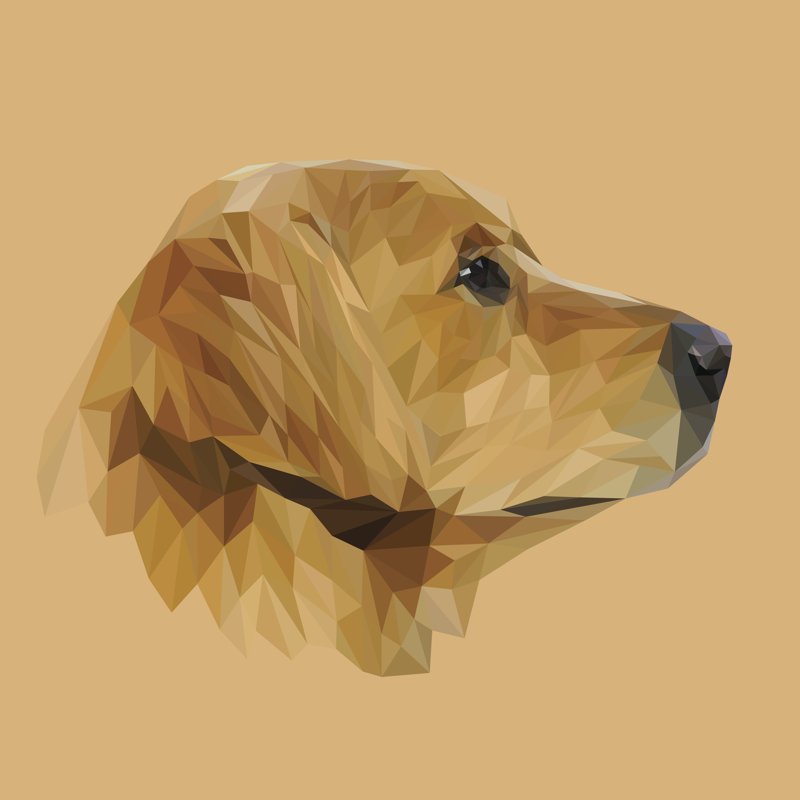 Golden Retriever Dog - Wrapped Canvas Print, 30cm H x 30cm W x 3.8cm D