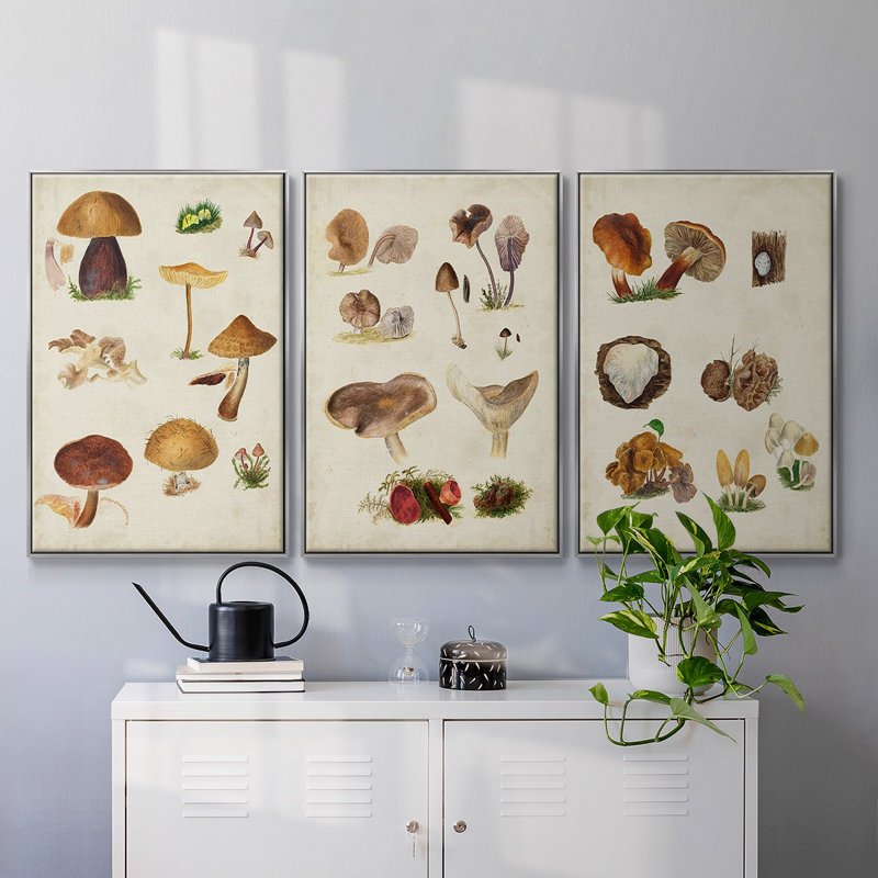 " Mushroom Species I " 3 - Pieces, H 40 po x l 90 po x P 2 po, Argent