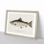 Male Land Locked Salmon by Sherman F. Denton - Framed Print-55576780-55576784