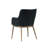 Beatriz 19.5'' H Upholstered Armchair - Black-274232301-274232300
