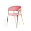 Chaise d'appoint en velours-1788484919