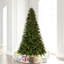 Cashmere Vickerman Artificial Douglas Fir Christmas Tree-71167510