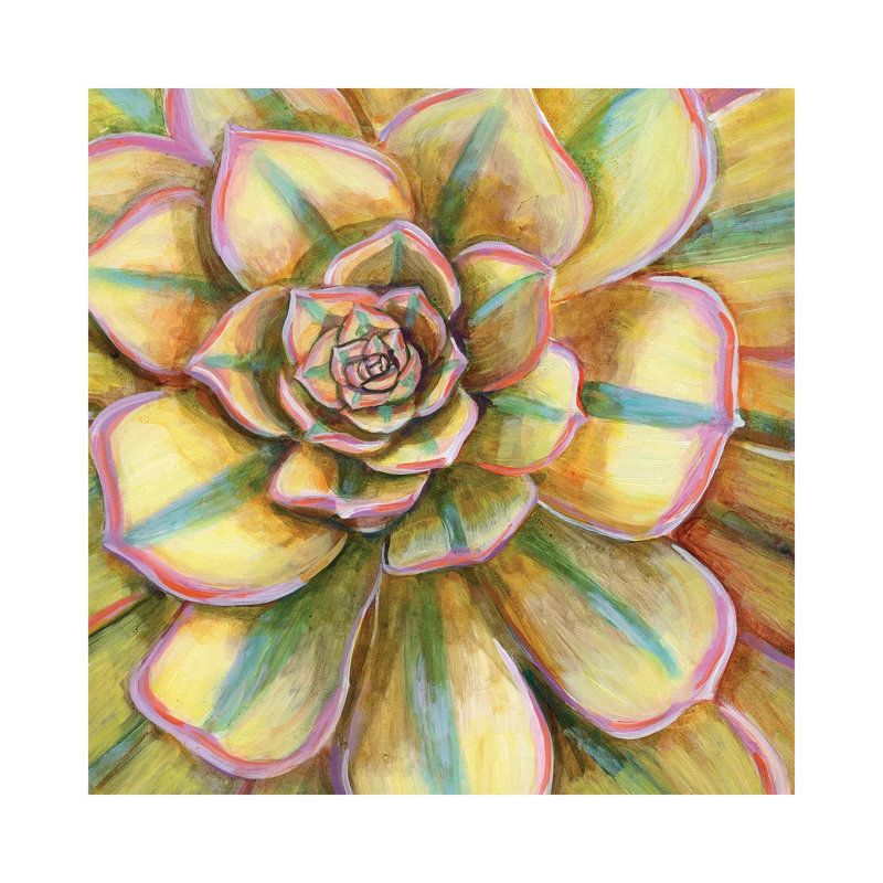 Yellow Striped Succulent by Linnea Tobias - Gallery-Wrapped Canvas Giclée on Canvas, 30.48 cm H x 30.48 cm W, Wrapped Canvas
