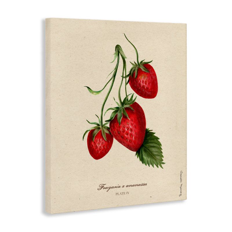 Portrait de fraise, toile par Danielle Murray, H 48 po x l 36 po