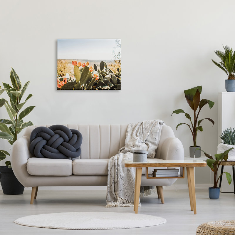 Cactus ensoleillé par Krista Broadway - photographie, H 24 po x l 30 po x P 1,5 po, Toile tendue