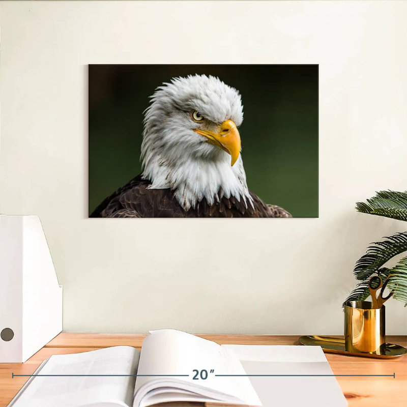 Brampt Bald Eagle Stare, 8" H x 12" W