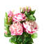 Fabric Peony Arrangement