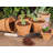 Eidson Liner Plant Stand