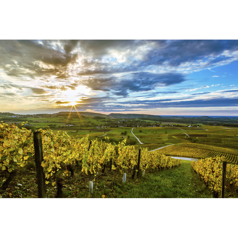 Vineyards Of Jura by Jerome Genee - Wrapped Canvas Print, 61cm H x 91cm W