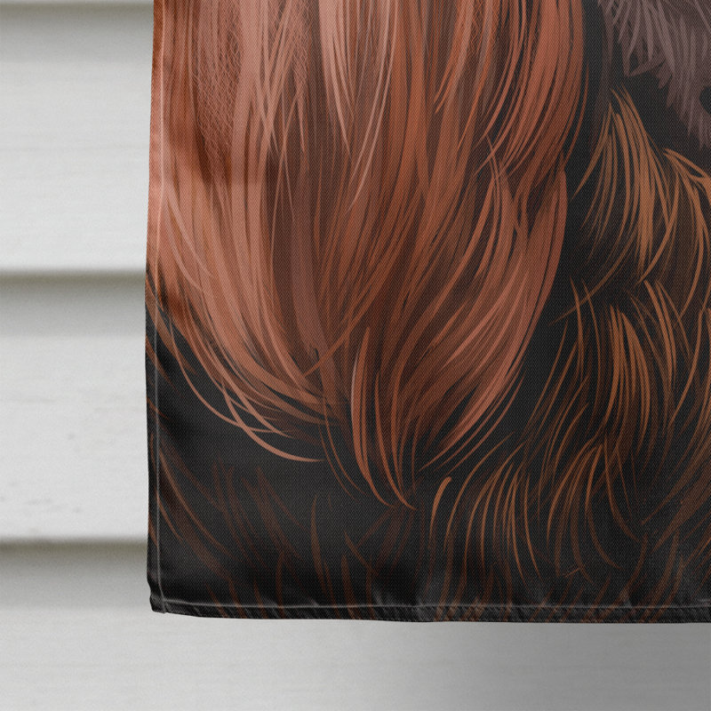 Polyester à 2 côtés 28 x 40 po drapeau maison, Épagneul Boykin