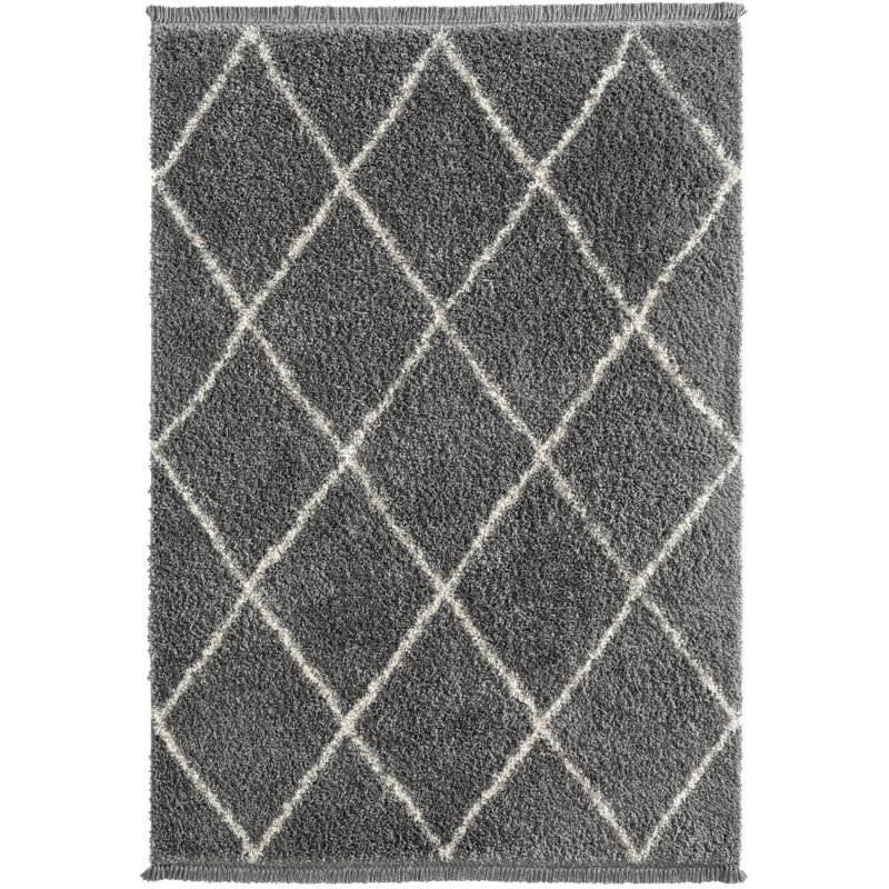 Godeus Shag Area Rug, Rectangle 200 x 290cm
