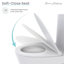 Toilette monobloc allongée au sol 1,6 gallon par minute GPF Swiss Madison Santorini (siège inclus)-83534678