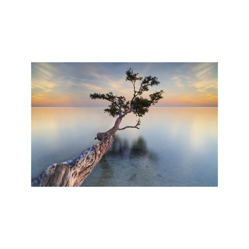 Water Tree XIV by Moises Levy - Wrapped Canvas Print