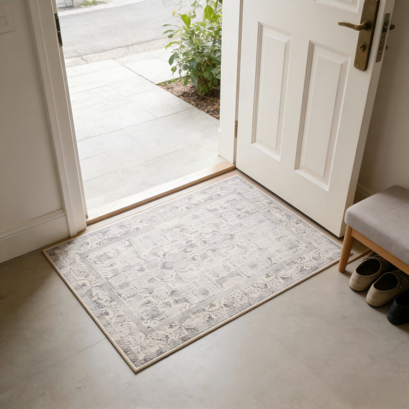 Tapis d'entrée gris 2X3