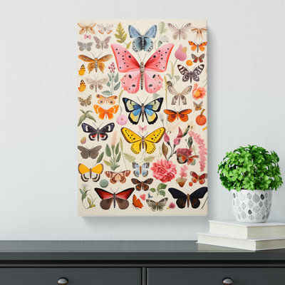 Moth Colour Field - Wrapped Canvas