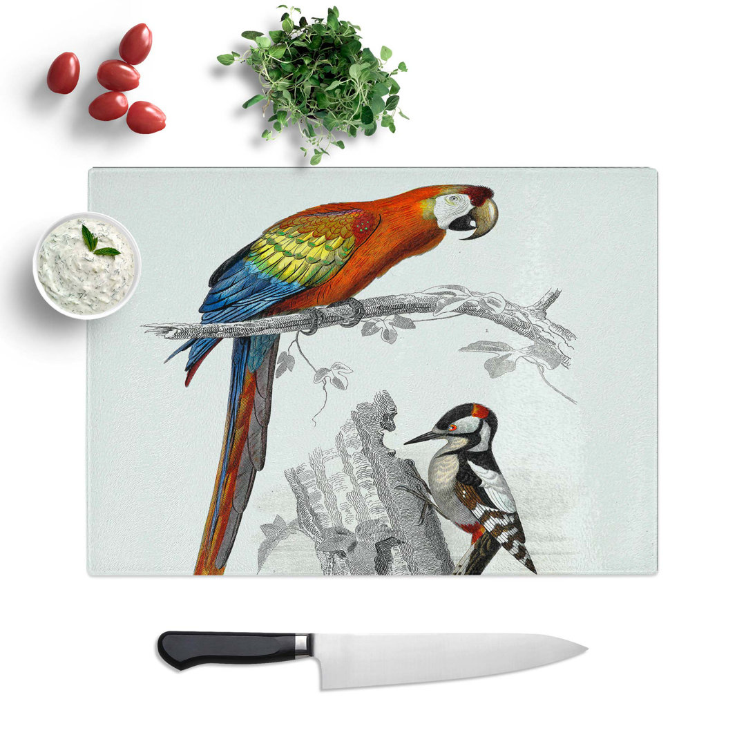Tempered Glass Parrot & Woodpecker by Charles D' Orbigny Chopping Board
