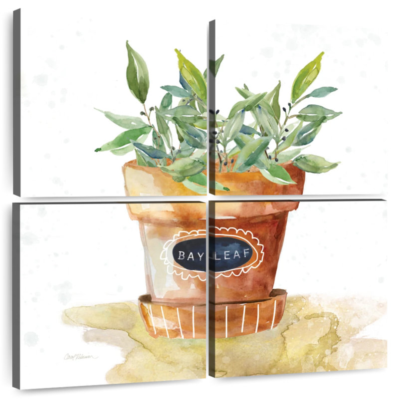 Harnek Potted Bay Leaf, 18" H x 18" W