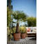 Greenville Planter-69972018-69972019