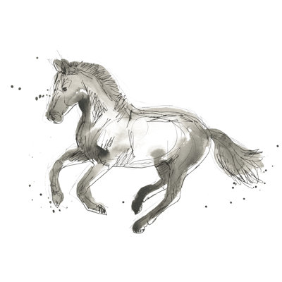 Equine Impressions II - Drawing
