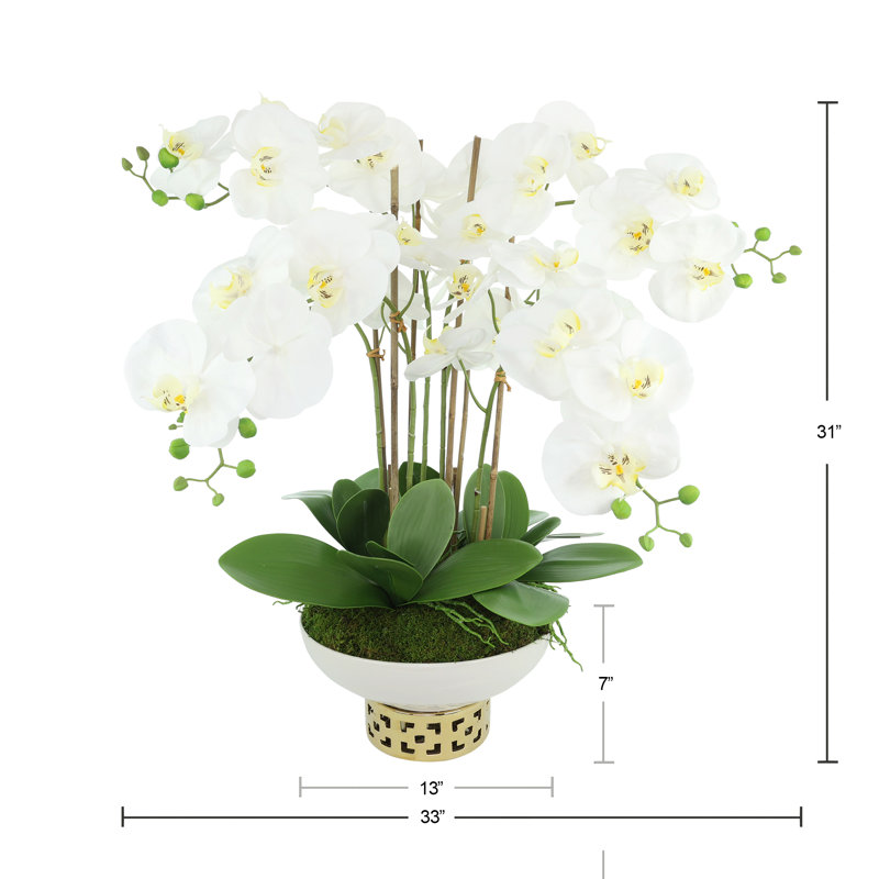 Orchids Arranged in Ceramic Key Footed Pot