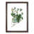 Walnut Framed selected