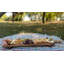 Alpen Home Nowlin Wood Tray