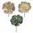 Mixed Assortment Arrangement