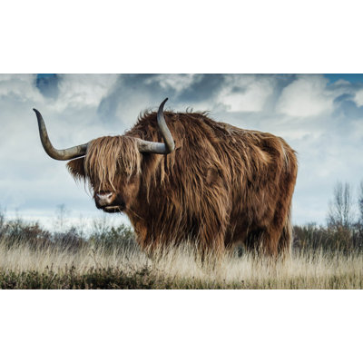 European Wildlife 009 - No Frame Rectangle Print on Metal