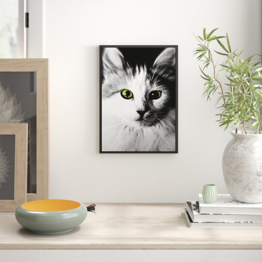 Gerahmtes Wandbild anmutige Katze