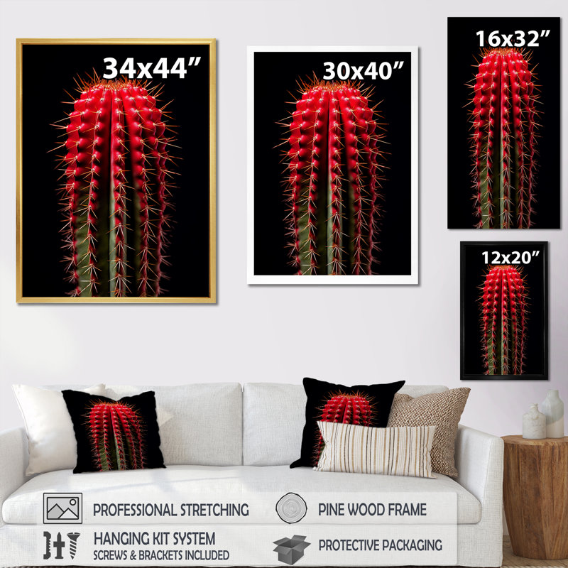 Cactus monolithe marron rouge et noir - décoration murale cactus, Cadre flottant noir, H 40 po x l 30 po x P 1,5 po