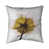 Yellow/White
