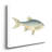 " Small Antique Fish IV "-1603757573