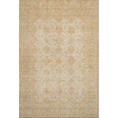 Premium Machine Washable Brennon AMF1643 Global Rug