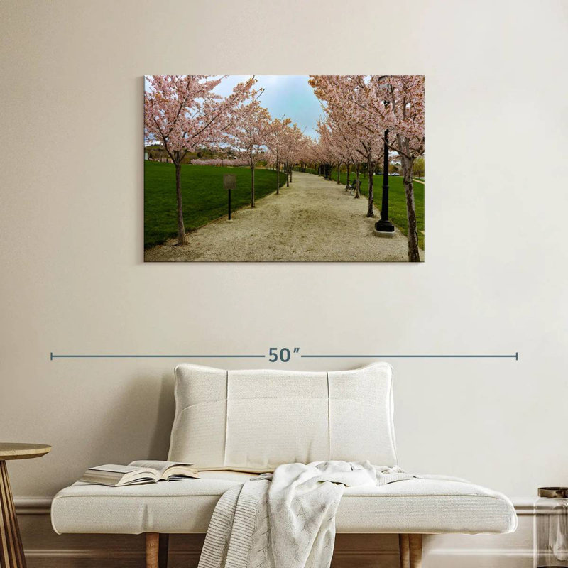Sentier Harnek Cherry Blossoms