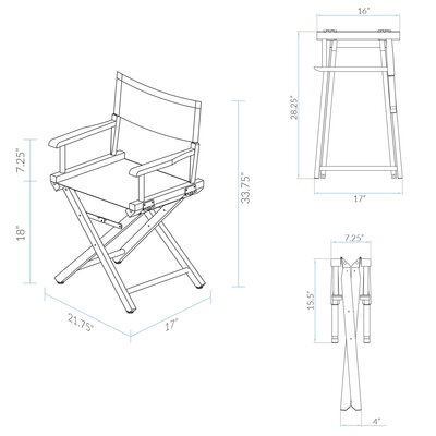 Ivy Bronx Craighead Folding Director Chair & Reviews 