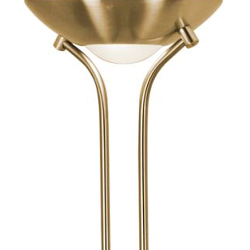 Ahkai 180cm Satin LED Traditional Floor Lamp