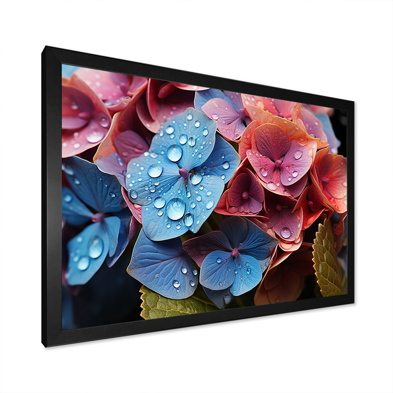 «Hydrangea Blooms Blend With Rainbow II», reproduction sur toile, Cadre simple noir, H 12 po x l 20 po x P 1 po