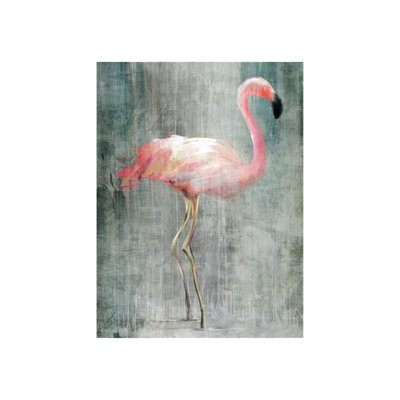 Tropical Plumage II Graphic Art by Emma Brooks