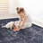 Area Rug, Black Washable Rug (Black+Gray)-94268957