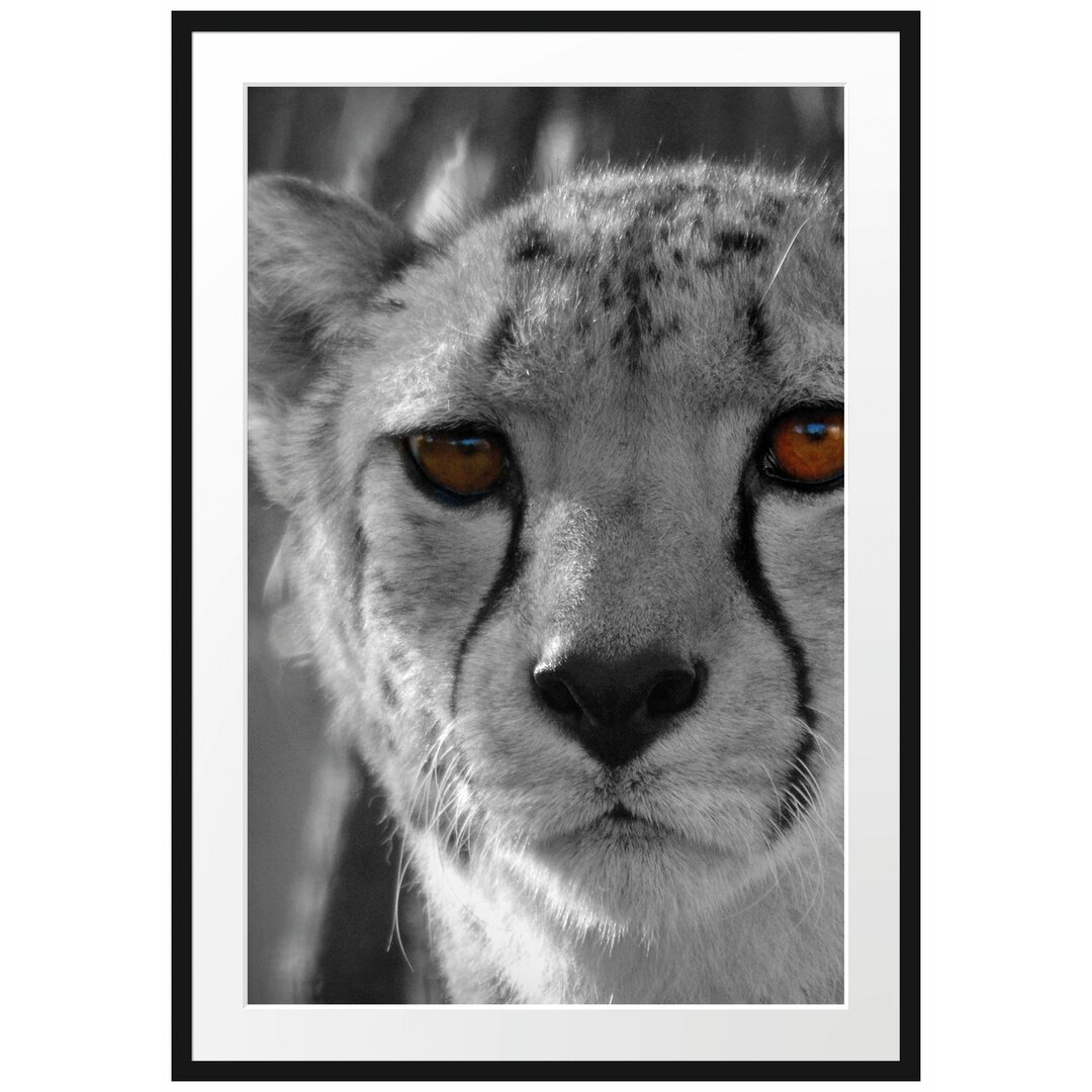 Gerahmtes Poster Gepard im Dschungel